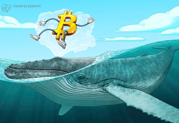 Crypto whales accumulate as bear market nears late stage: CryptoQuant