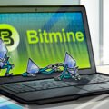Bitmine extends 14-month ETH buying pace as Ether breaks above $2.5K