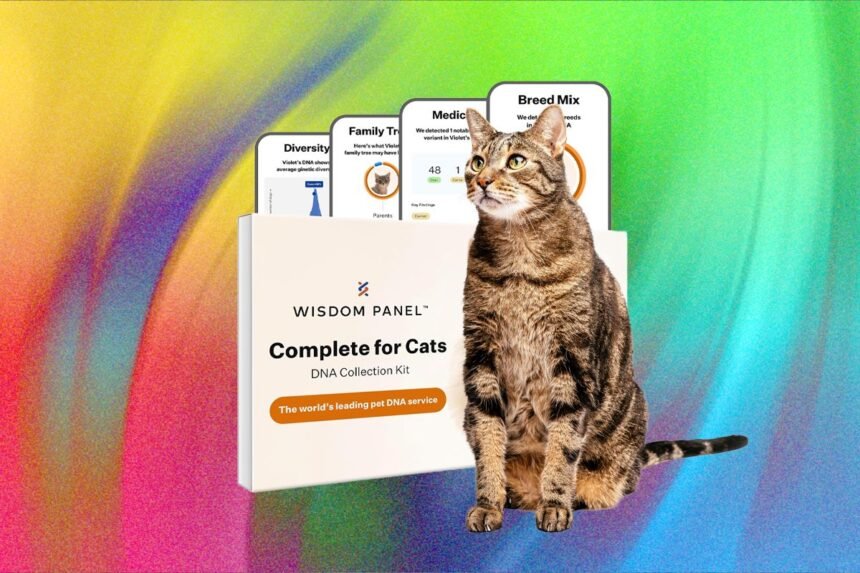 What’s the Best Pet DNA Test? We Tested the Most Popular Ones